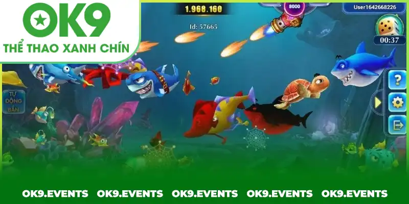 Bắn cá H5 thiết kế đơn giản nhưng cực kỳ lôi cuốn thành viên Bắn cá H5 thiết kế đơn giản nhưng cực kỳ lôi cuốn thành viên
