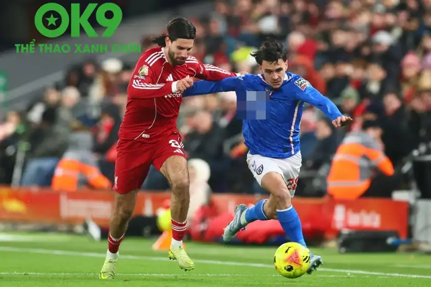 Sunderland nhiều khả năng sẽ trắng tay trước Liverpool. (Ảnh: Internet) Sunderland nhiều khả năng sẽ trắng tay trước Liverpool. (Ảnh: Internet)
